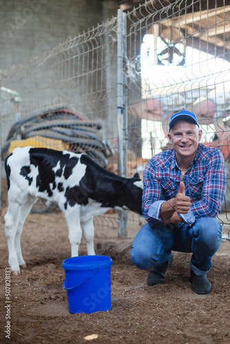 A farmer feeds a young shy calf in a stall.