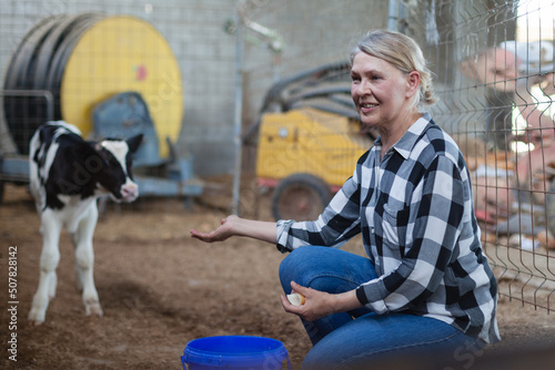 A farm woman feeds a calf in a stall.
