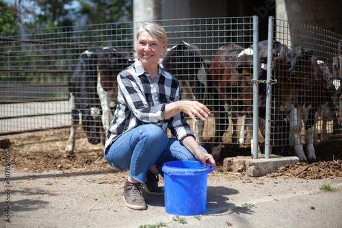Farm woman taking care of a herd of calves in a stall