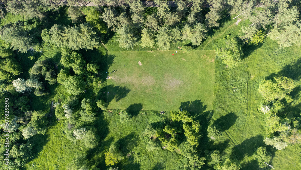 Top view from a drone on the park in summer