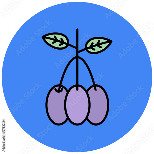 Java plum Icon
