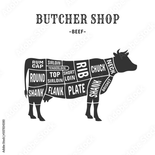 Cow cuts scheme. Cutting beef meat guide placard for butchers, animal cut diagram chart plate brisket, vintage american poster butcher shop steak or rib, exact vector illustration