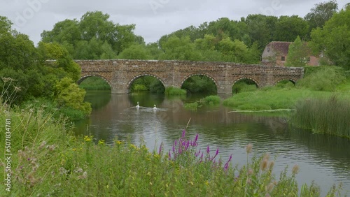 Swans on the River Stour at White Mill Bridge, Dorset, England. photo