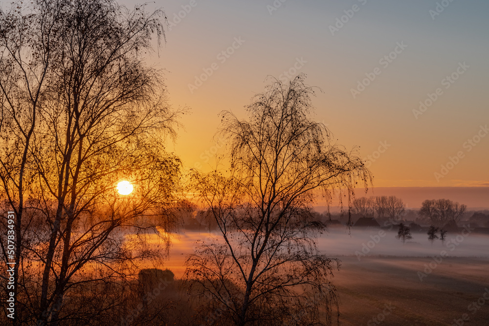 an orange sunset between tree silhouettes with a field and fog