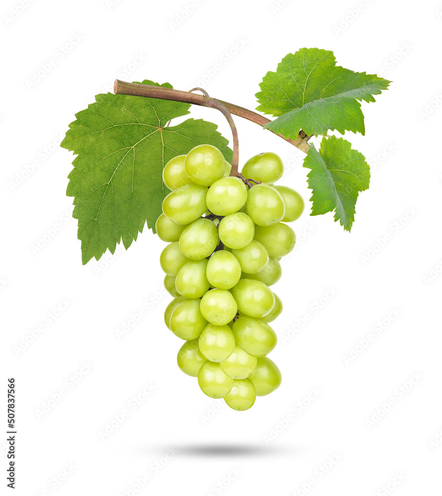 Fresh green grape isolated on white background Fresh green grape isolated on white background