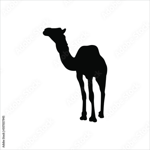 Camel Silhouette for Logo or Graphic Design Element. Vector Illustration