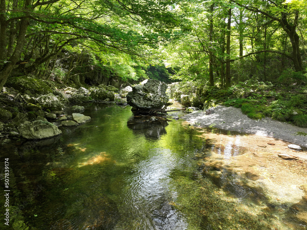 Fototapeta premium 愛媛県内子町 小田深山渓谷の風景