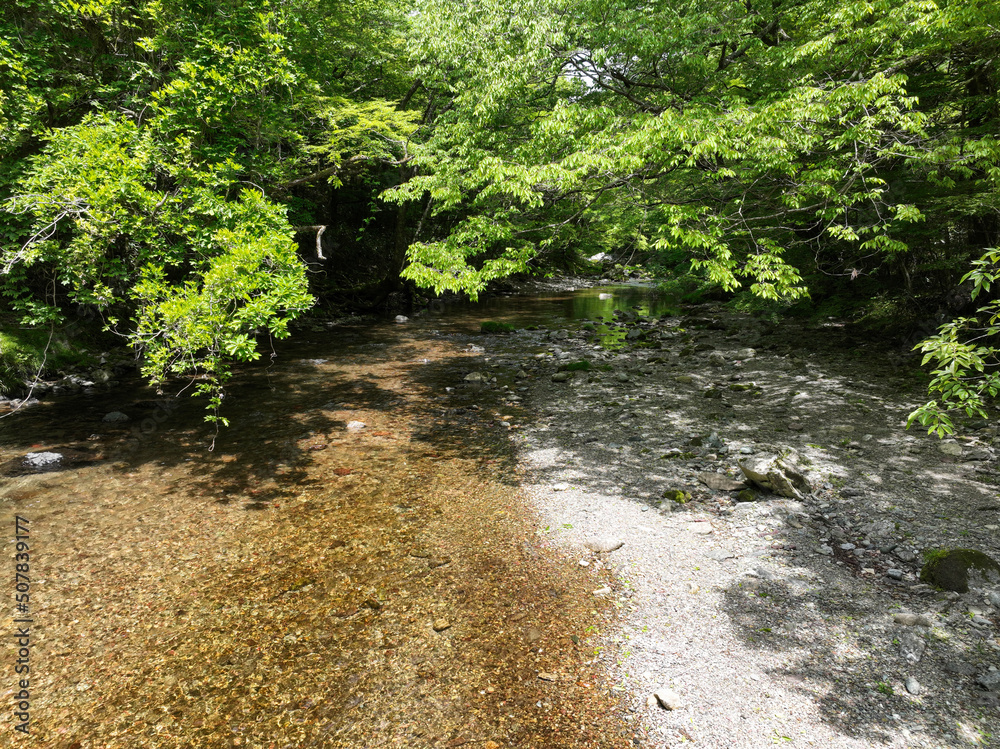 Obraz premium 愛媛県内子町 小田深山渓谷の風景