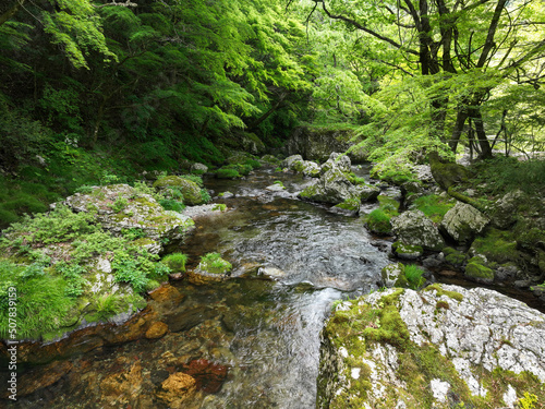 愛媛県内子町　小田深山渓谷の風景