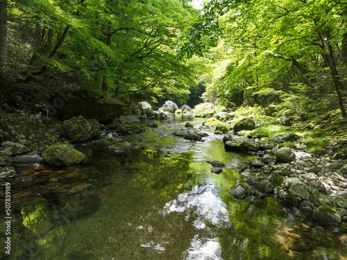 愛媛県内子町 小田深山渓谷の風景