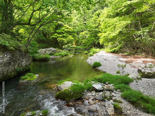 愛媛県内子町　小田深山渓谷の風景