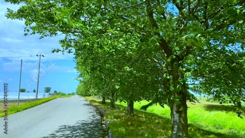 summerroad