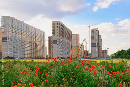 construction of high-rise apartment buildings. Construction with the help of cranes of a new microdistrict in an ecologically clean area, in the foreground a field of poppies.
