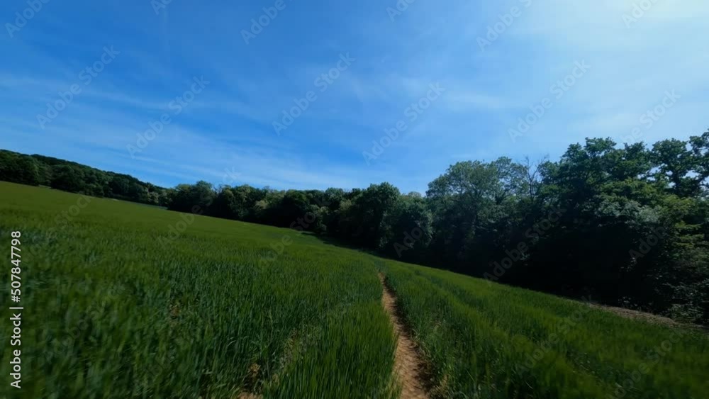 FPV DRONE SHOT - Flight close to the ground and crash in grass