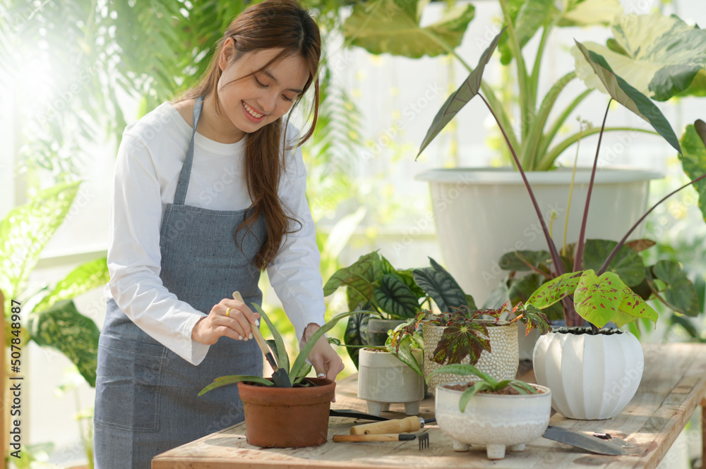 Young woman caring for trees in a greenhouse, planting trees, plant care equipment, planting greenhouses. Young woman caring for trees in a greenhouse, planting trees, plant care equipment, planting greenhouses.