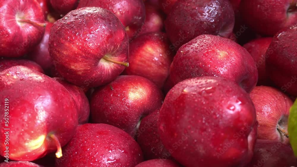 Due to the presence of phytochemicals in apples, they have gained special importance in the human body. Due to the presence of phytochemicals in apples, they have gained special importance in the human body.