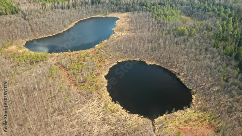 AERIAL: Two Lakes in Forest on Sunny Day in Between Trees photo