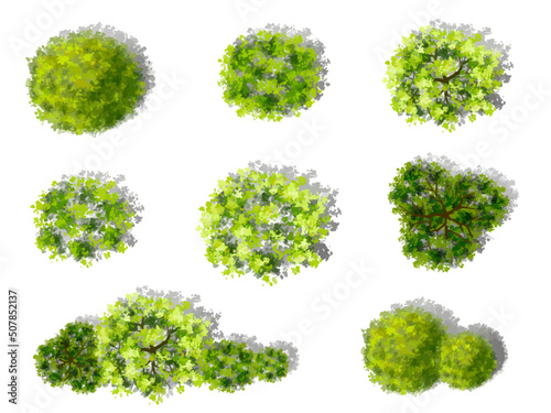 Vector watercolor green tree top view isolated on white background for landscape plan and architecture drawing, elements for environment and garden. 