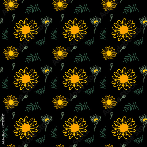 Seamless of daisy flowers.