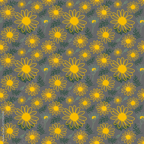 Seamless of daisy flowers.