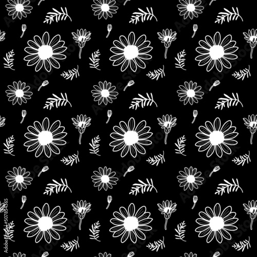 Seamless of daisy flowers.