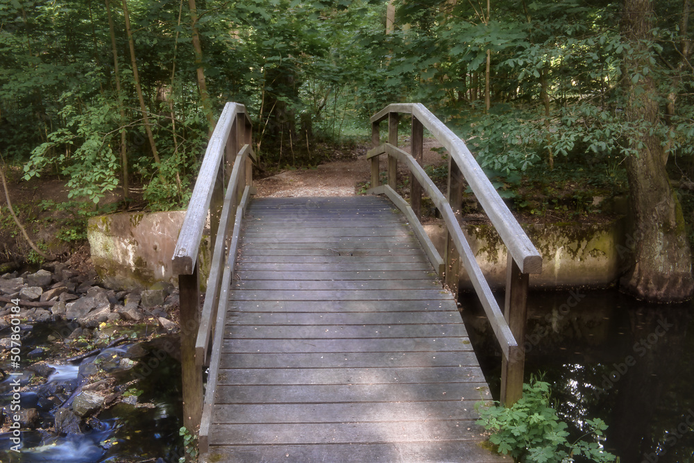 Fototapeta premium Wald Bach Brücke