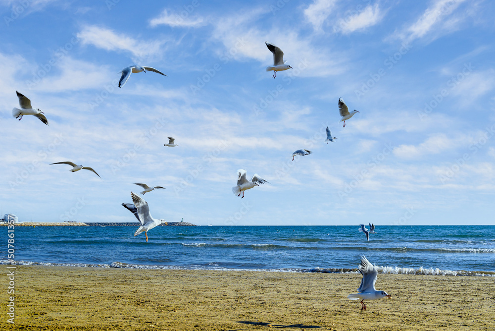 Beautiful photo of seagulls flying over the shore of the beach under the cloudy sky
