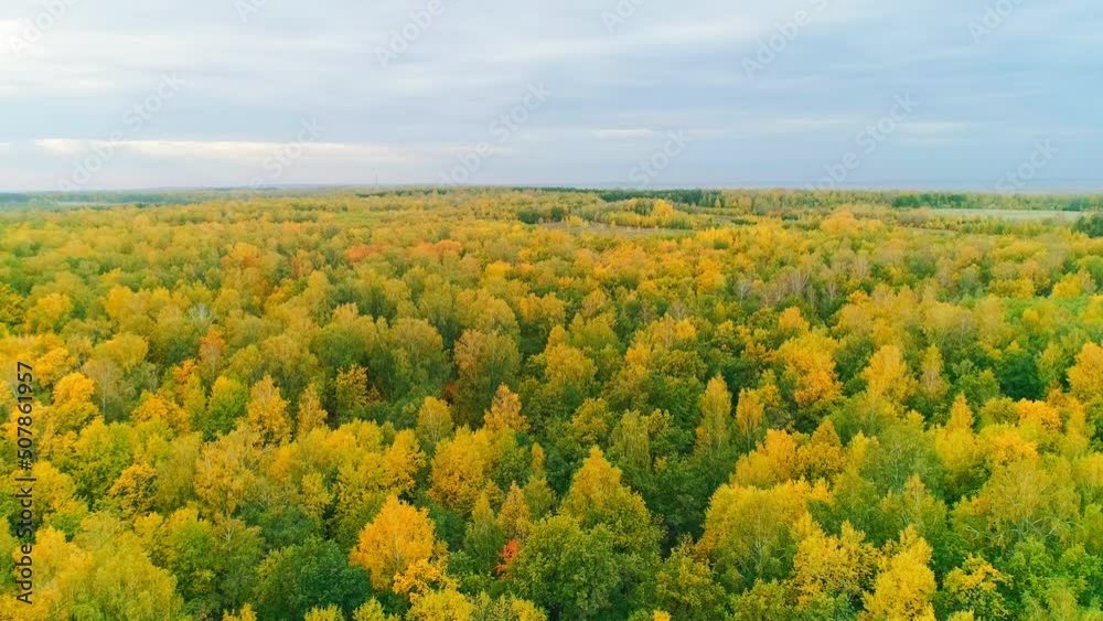 Aerial video of autumn forest on a cloudy day Aerial video of autumn forest on a cloudy day