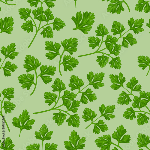 Seamless pattern. Pattern with parsley leaves. A pattern with spices.Green pattern for the print. Vector illustration