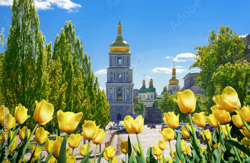 Yellow tulips on the spring street of Kiev, Ukraine photo