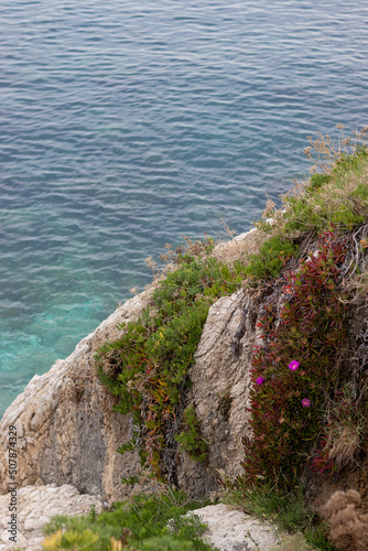 coast of the sea