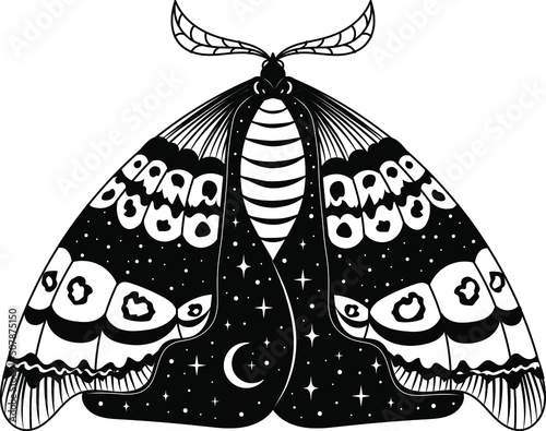 Moth, butterfly, Silhouette, Magic butterfly, vector, tattoo style, Heavenly art.
