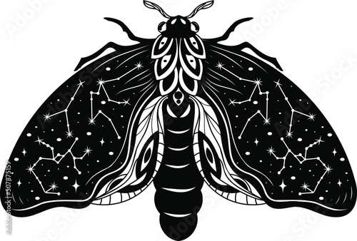 Moth, butterfly, Silhouette, Magic butterfly, vector, tattoo style, Heavenly art.