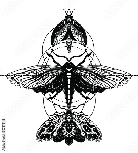 Moth, butterfly, Silhouette, Magic butterfly, vector, tattoo style, Heavenly art.