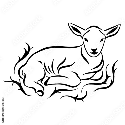 Illustration of lying lamb surrounded by ornament. Sketch style farm animal. Sheep vector art. Linear drawing.