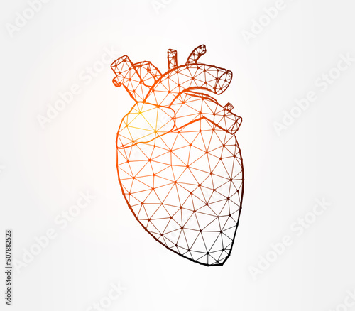 Heart internal organ low poly illustration on white background