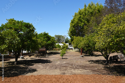 Orchard at the Heritage Museum of Orange County. The museum is dedicated to preserving, promoting and restoring the heritage of Orange County