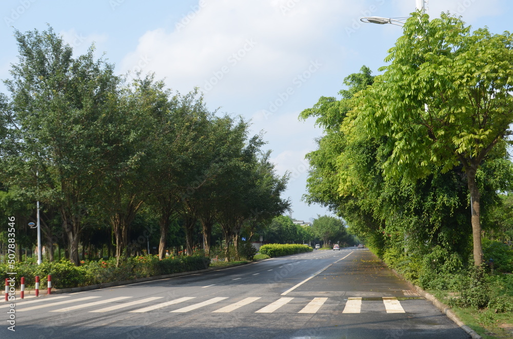 Fototapeta premium Empty road after the rain, Nanning, Guangxi, China