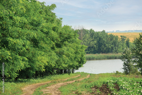 A dirt road near the forest leads to a river or lake. Steppe road in summer