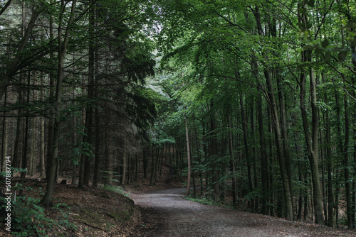 green Forest