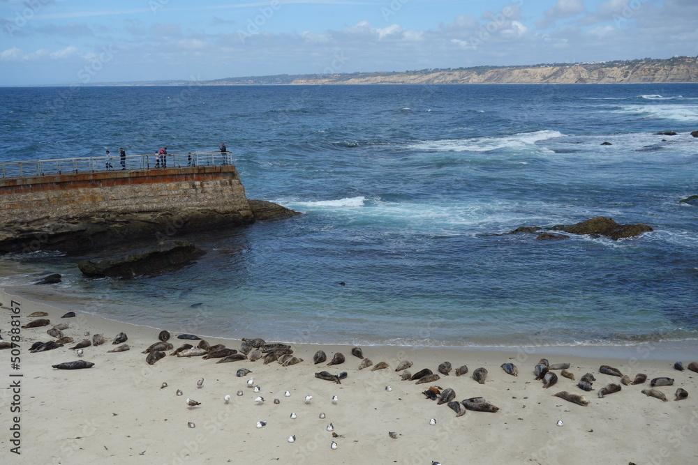 La Jolla, San Diego, California