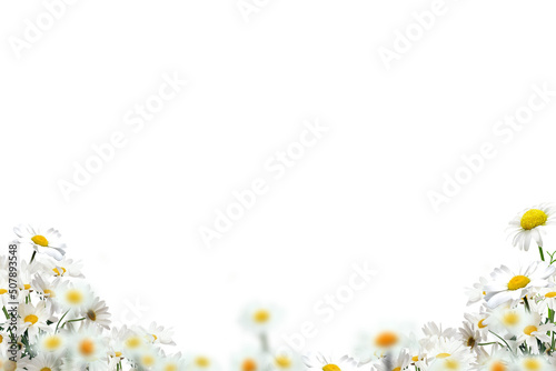 Fototapeta Naklejka Na Ścianę i Meble -  Flower grass petals Photo Overlays, Photoshop Overlays, Summer frame s, Golden Fields, png