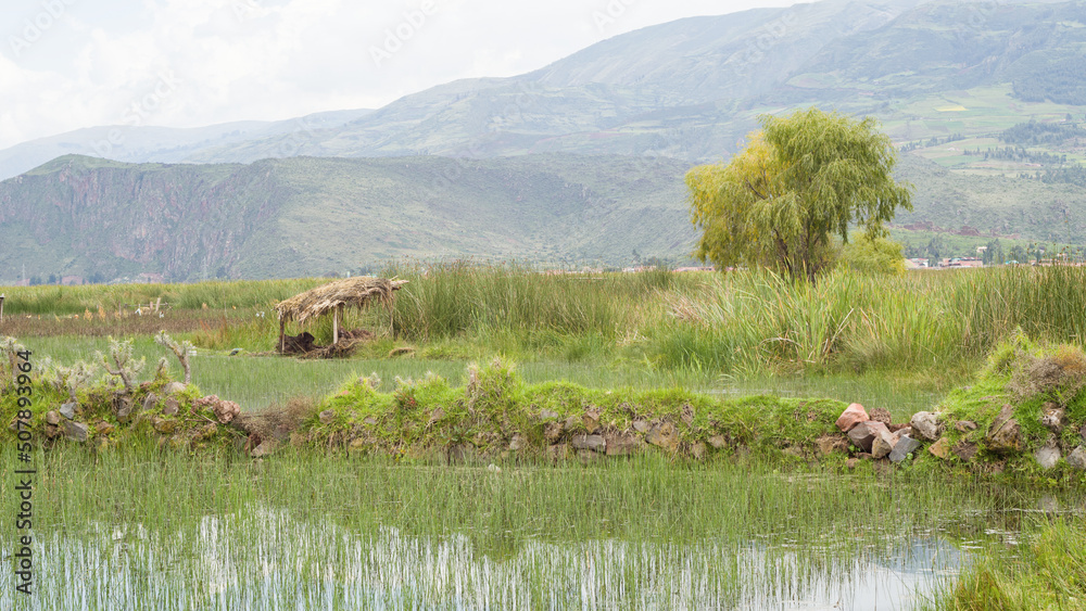 Pikillaqta archaeological site underwater wall in ruins and andean landscape in Cusco, Peru