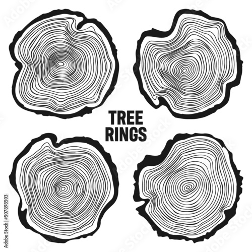 Round tree trunk cuts, sawn pine or oak slices, lumber. Saw cut timber, wood. Wooden texture with tree rings. Hand drawn sketch. Vector illustration