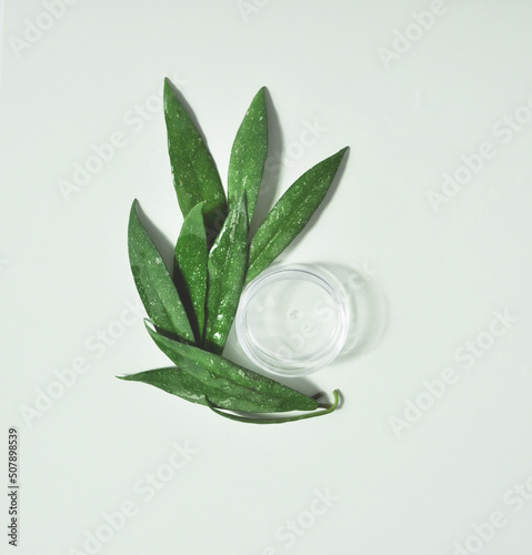 green leaves with a transparent cosmetic jar