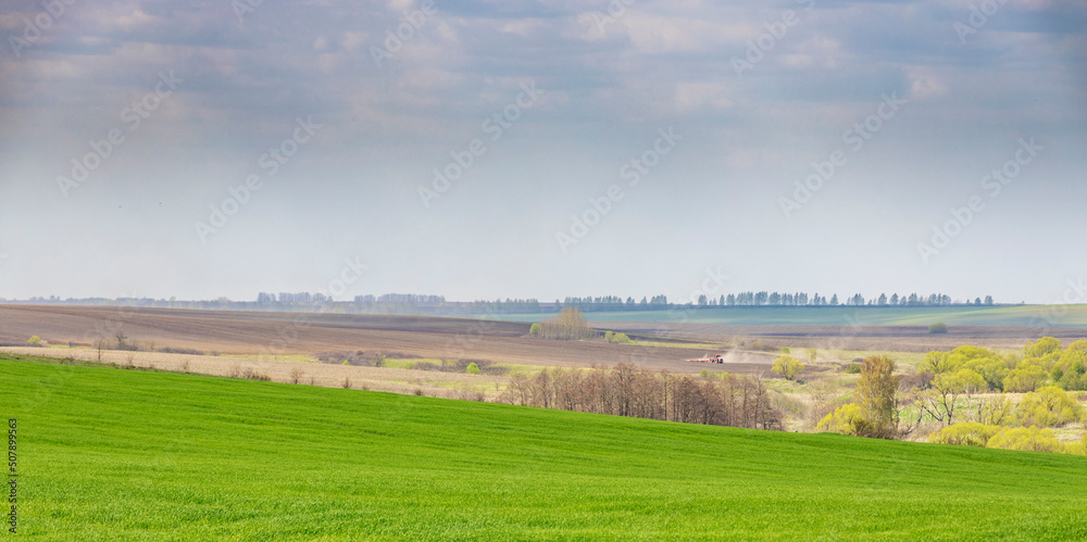 Fototapeta premium Agricultural work in the field in early spring.