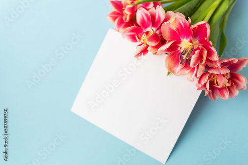 Creative spring composition of tulips with pastel blue paper and white sheet for inscription. Minimal flat lay concept. Ready postcard, banner. © Artsaba Family