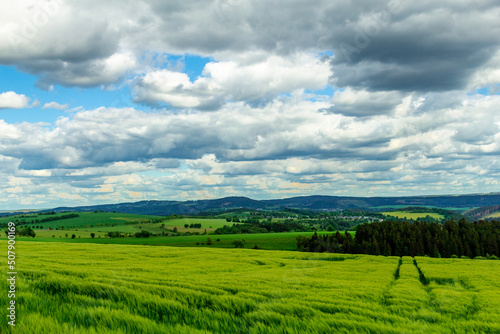 Podobny obraz