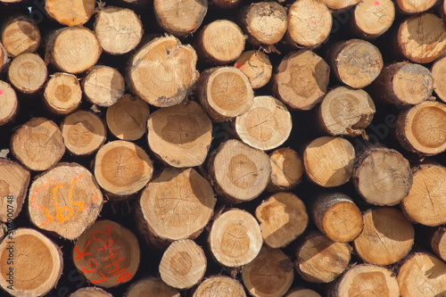 logging,in the photo, wooden logs in close-up