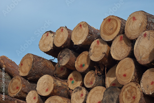 logging in the photo wooden logs against the blue sky